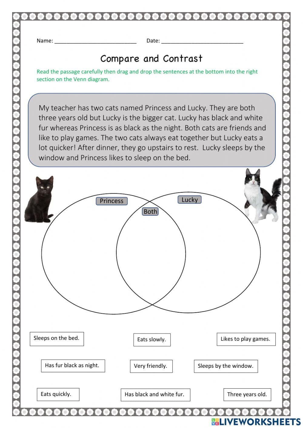 Compare And Contrast Interactive Worksheet For