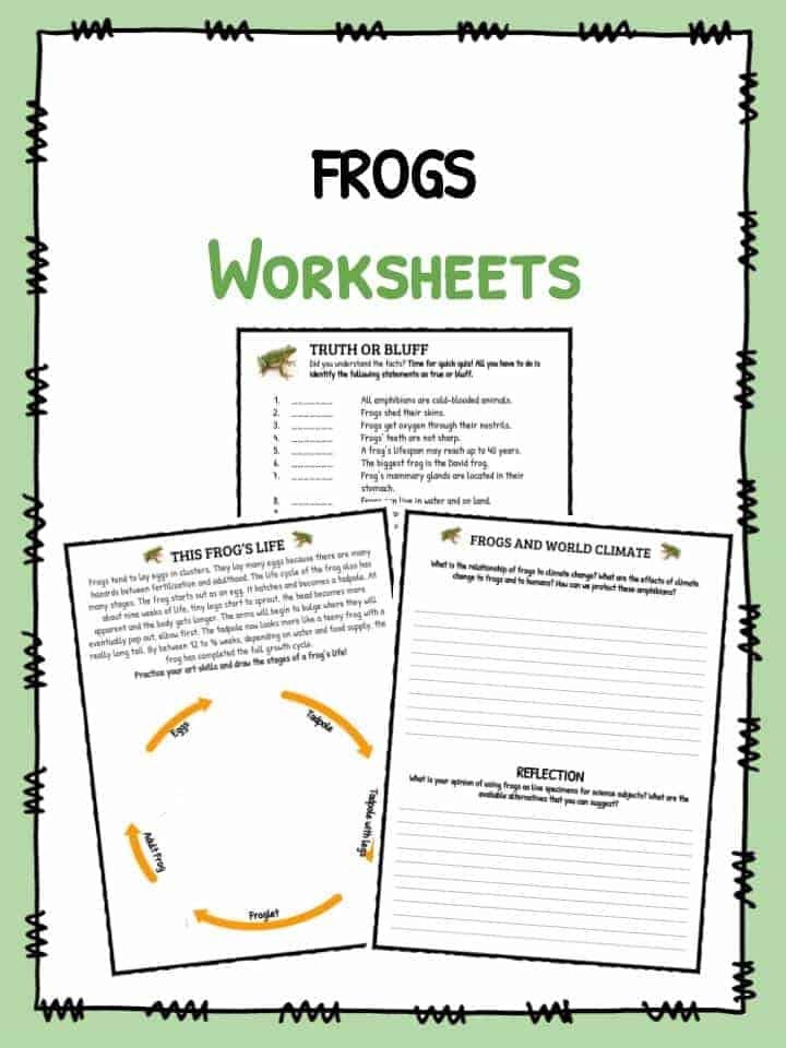 Frog Facts  Worksheets   Information For Kids