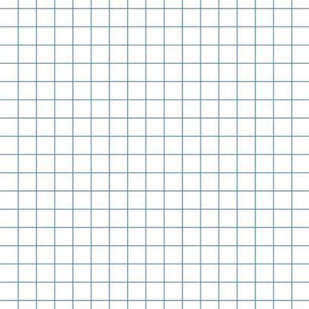 School Smart Graph Paper