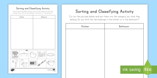 Sorting   Classifying Worksheet  Worksheet