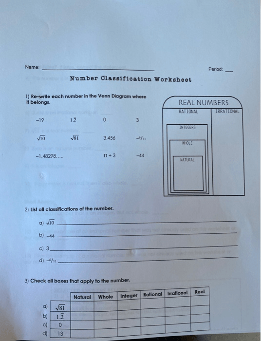 Solved Name Period Number Classification Worksheet