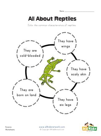 Reptiles Worksheets - WorksheetsCity