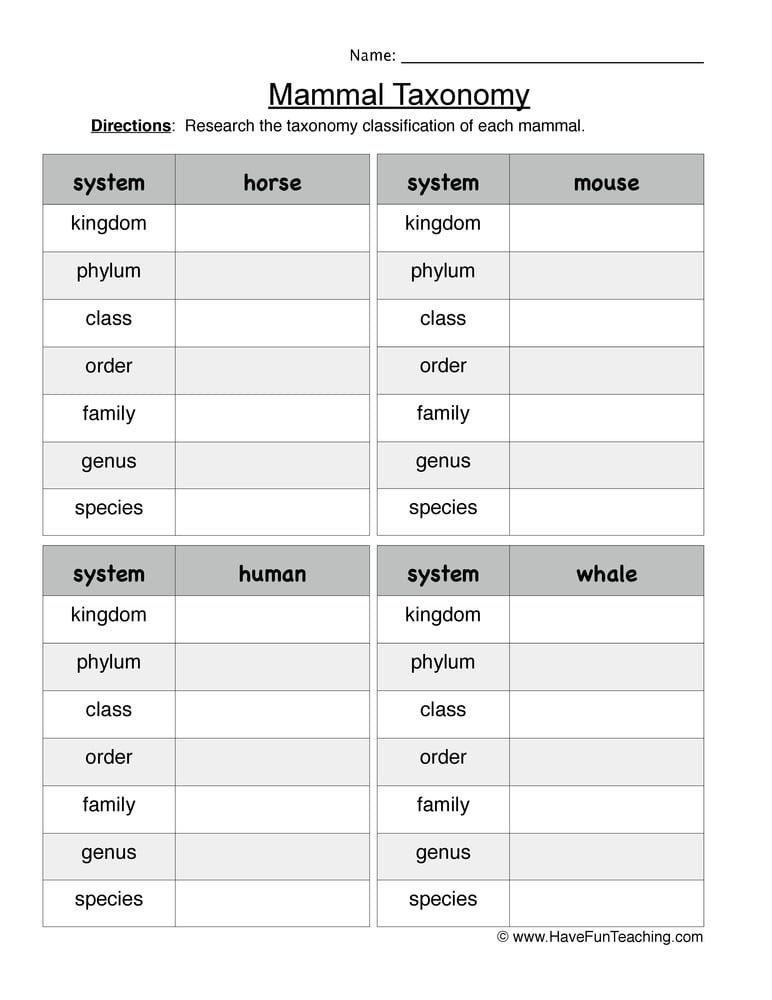 Mammal Taxonomy Worksheet