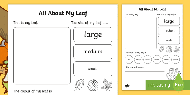 All About My Leaf Activity Worksheet