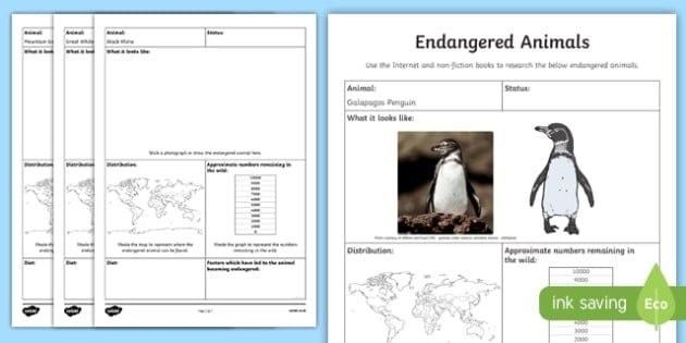 Endangered Animals Research