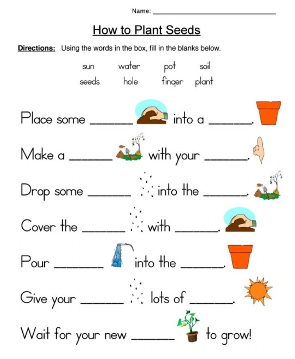 How To Plant Seeds Worksheet