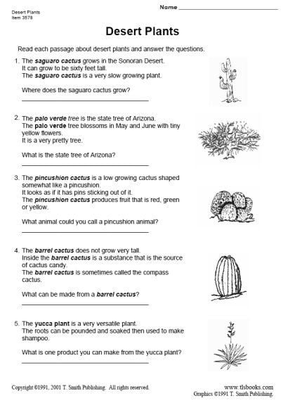 Desert Plants  Plants Worksheets  Deserts