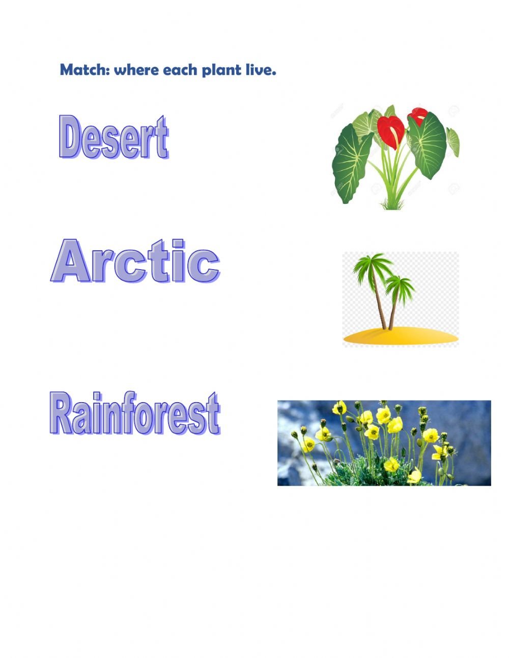 Desert Rainforest Arctic Plant Worksheet