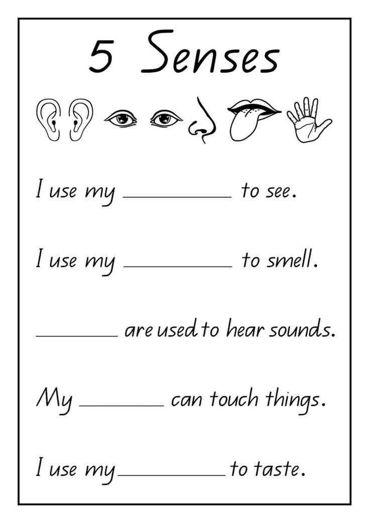 Activities For The Five Senses For Preschool