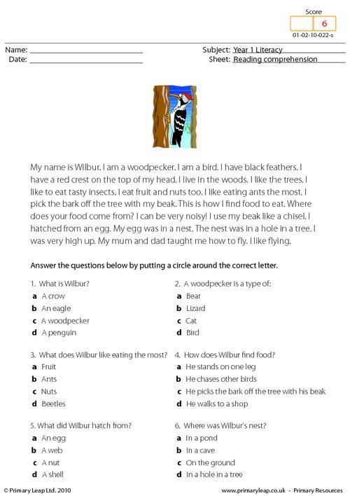 The Amazing Woodpecker Reading Comprehension Worksheets - WorksheetsCity