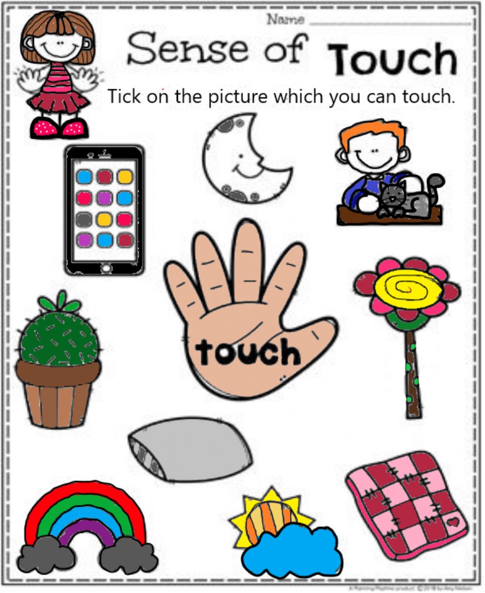 Senses Touch Worksheets WorksheetsCity