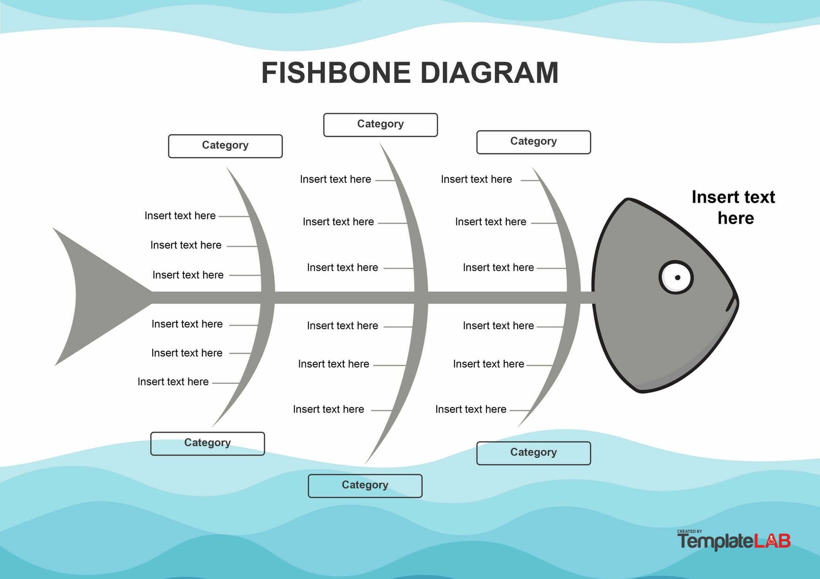 Fishbone Graphic Organizer WorksheetsCity