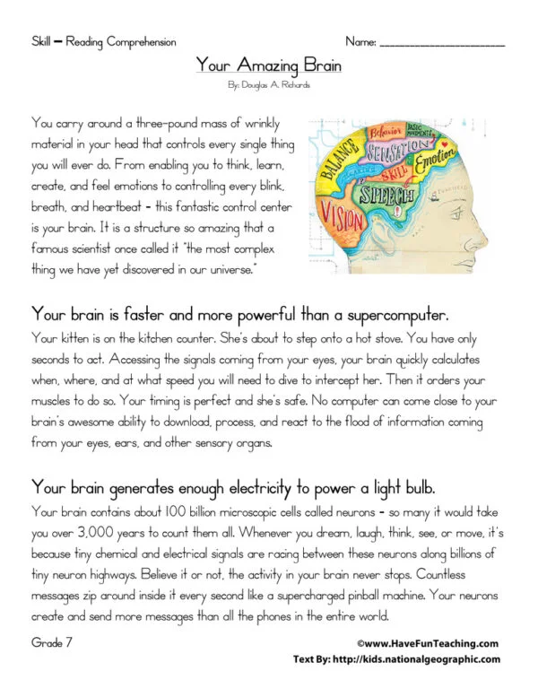 Your Amazing Brain Reading Comprehension Worksheets - WorksheetsCity